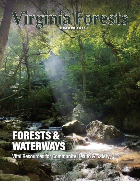 Virginia Forests Magazine